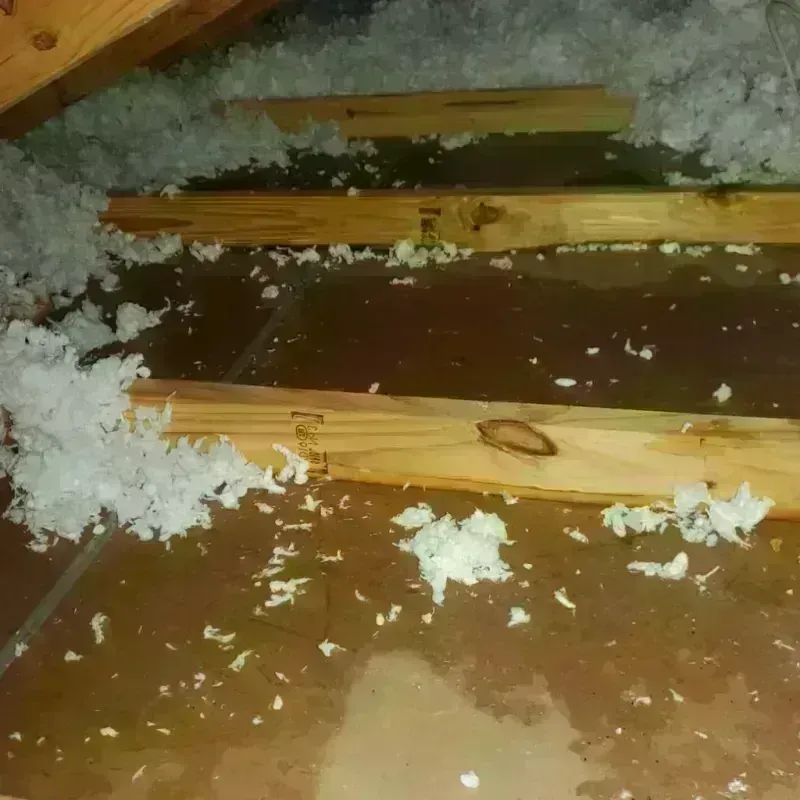 Attic Water Damage in Sonoma County, CA