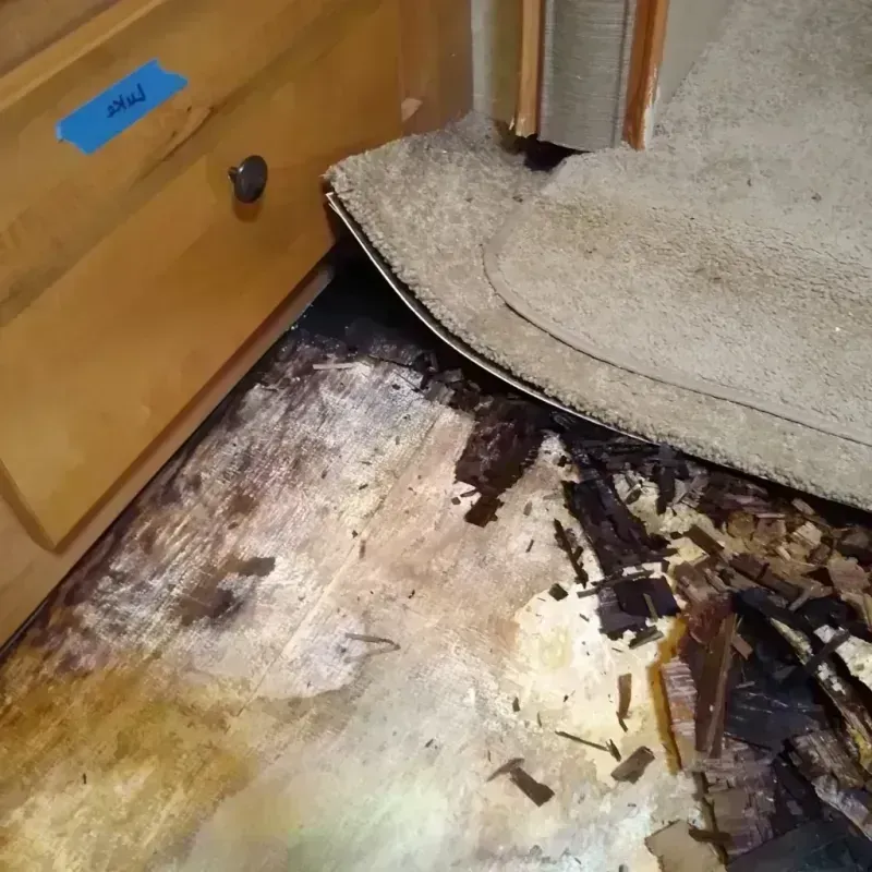 Wood Floor Water Damage in Sonoma County, CA